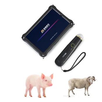 Porco Ovelha Scanner De Ultra-Som Veterinário Aparelho De Ultrassom Portátil Da Máquina Animal Sem Fio Smart B Sonda De Ultra-Som
